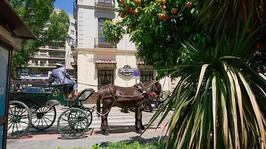 La Alcandora Grenada 0*,  Hiszpania